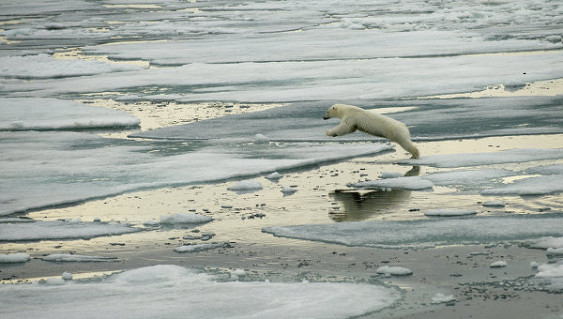 Климатические изменения в Арктике
