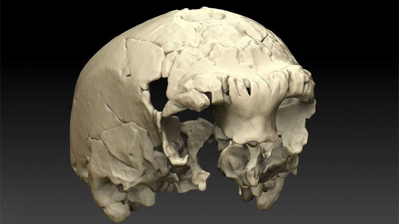 Древнейший череп европейца найден в Португалии