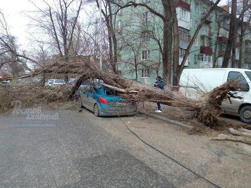 Последствия ураганного ветра в центре и на юге России