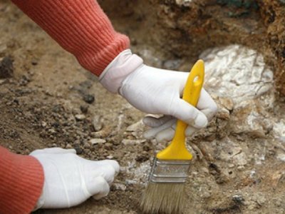 В Китае обнаружили черепа неизвестных науке ископаемых предков человека