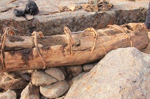 В Монголии нашли древнее захоронение
