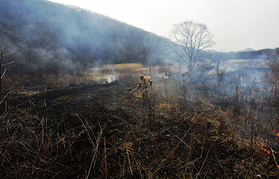 Лесные пожары в Забайкальском крае России