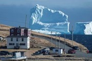 Айсберг стал достопримечательностью канадского острова