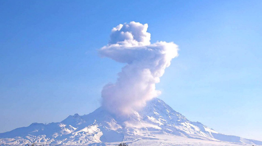 Вулканы Камбальный и Шивелуч выбросили столбы пепла