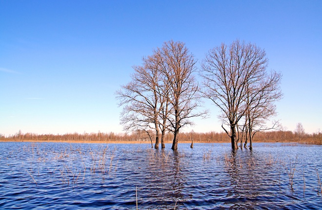 Чем отличаются паводок, половодье и наводнение