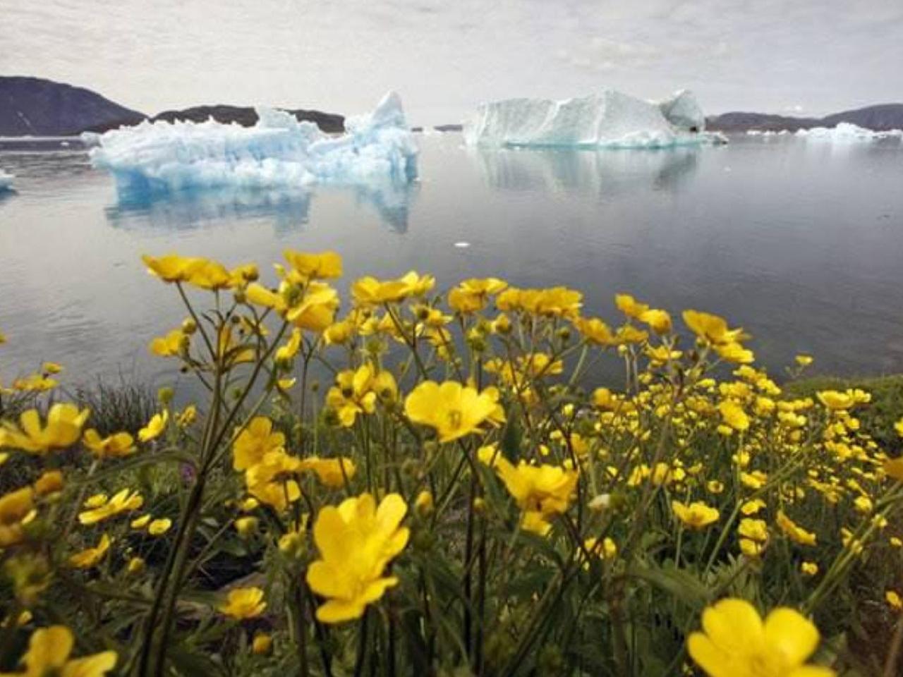 Изменения климата ускорили «природные часы» в Арктике