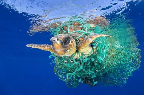 ООН начинает кампанию по борьбе с пластиковым мусором в океане
