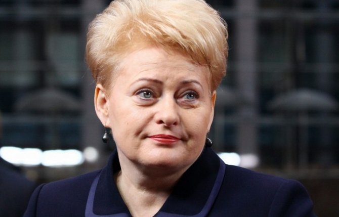 Президент Литвы признала свой провал и попросила других все исправить