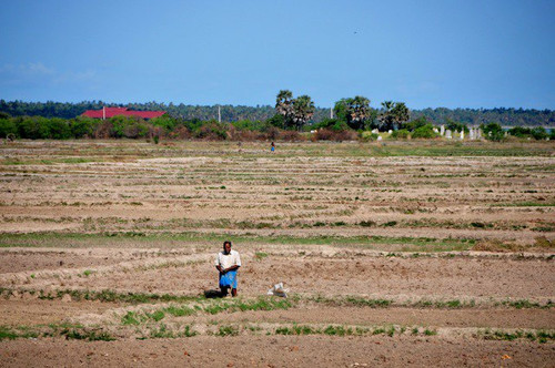 Шри-Ланка страдает от засухи