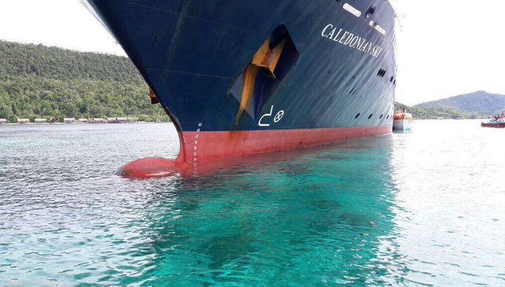 Круизный лайнер повредил ценный коралловый риф