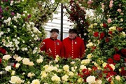 В лондонском Челси пройдет цветочное шоу