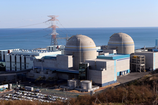 В Южной Корее остановлен реактор на АЭС 
