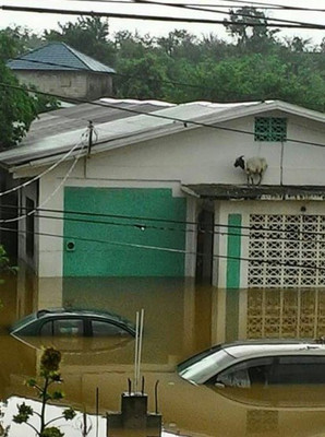 Сильные дожди затопили Ямайку