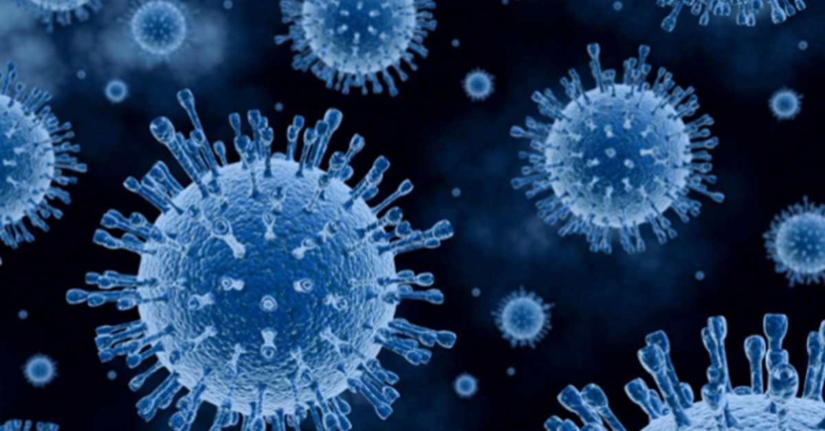 Ученые открыли новый вирус-гигант