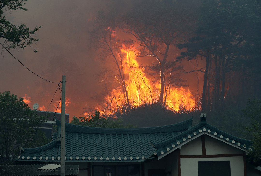 Лесные пожары в Южной Корее